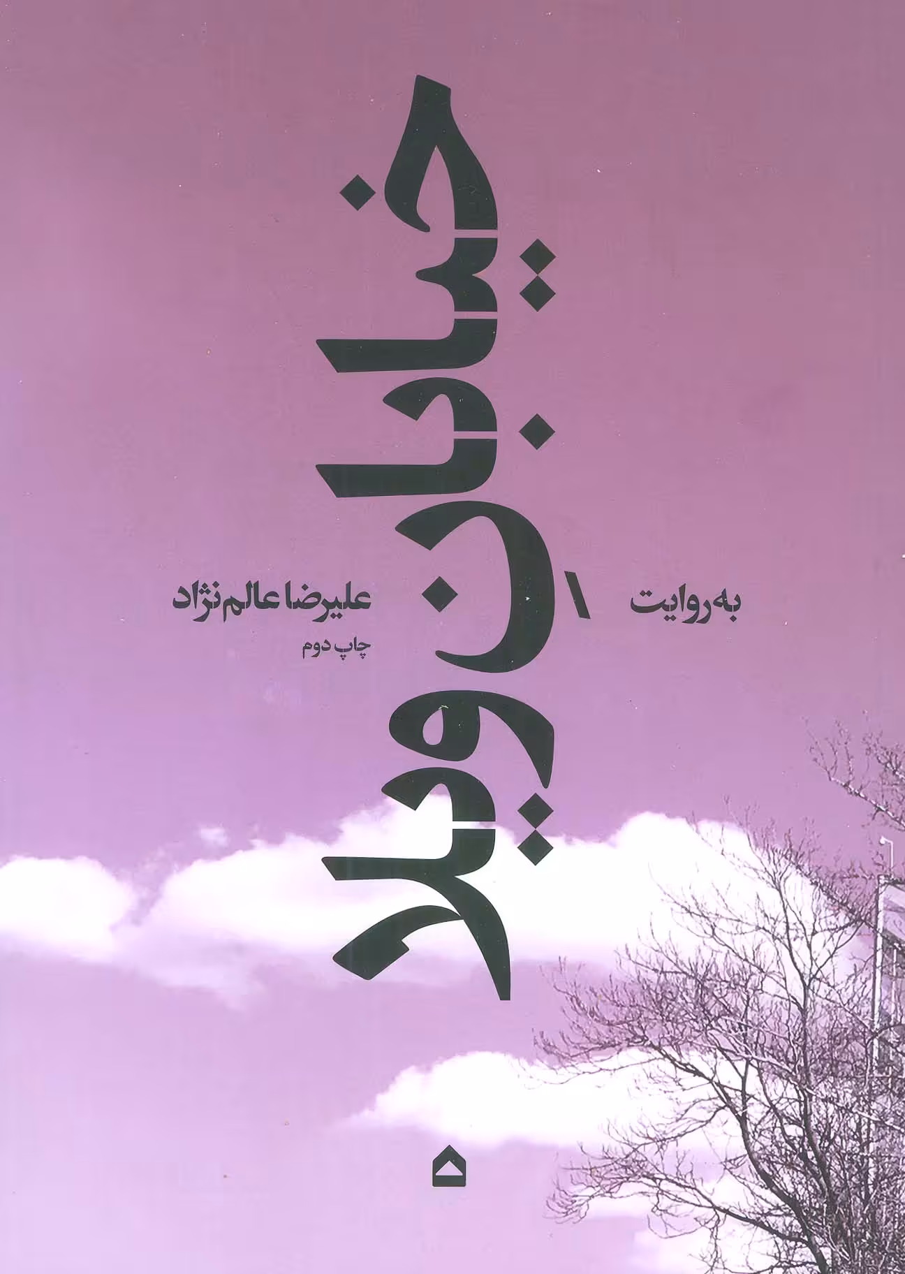 کتاب خیابان ویلا اثر علیرضا عالم نژاد