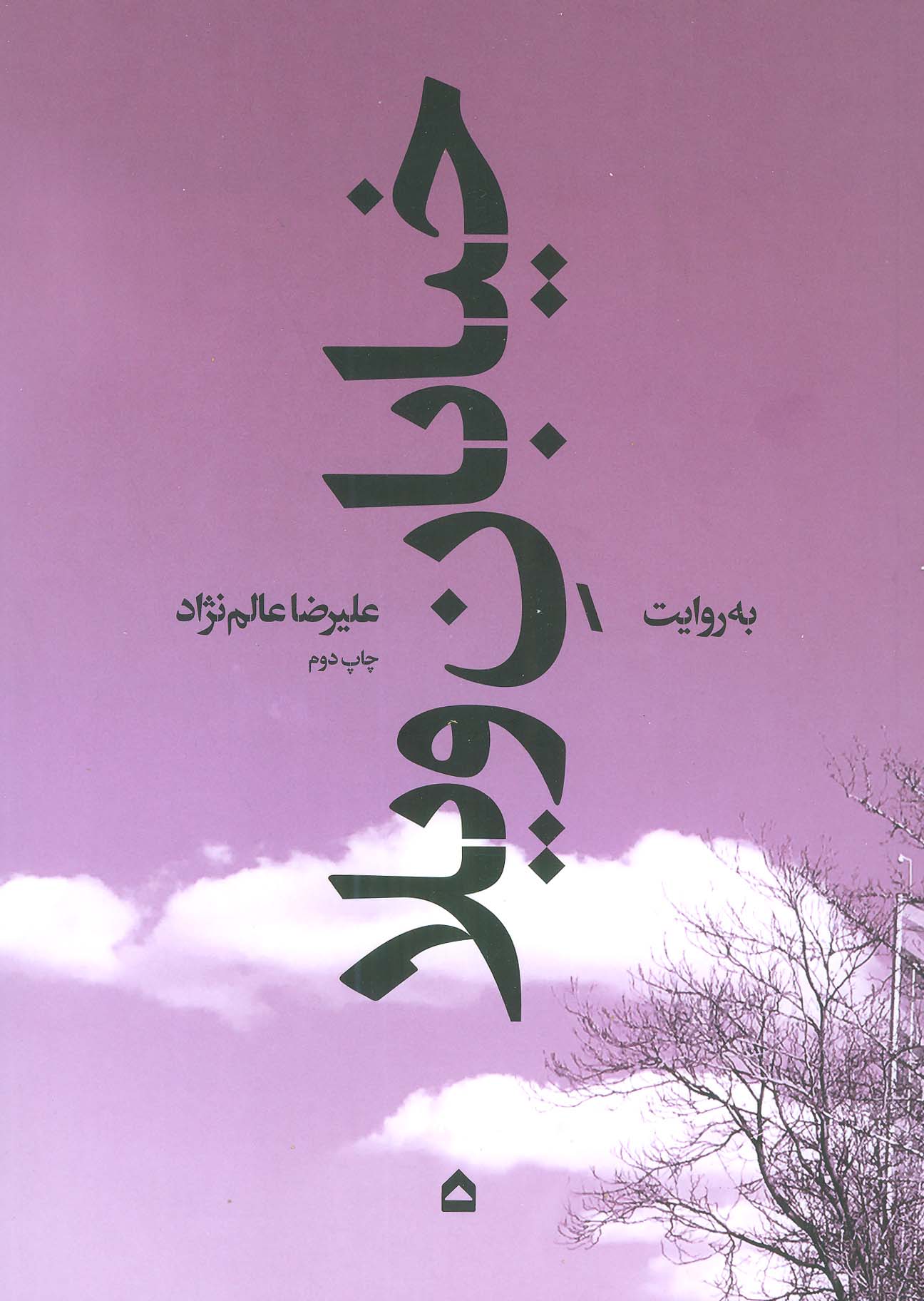 کتاب خیابان ویلا اثر علیرضا عالم نژاد