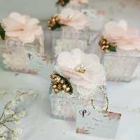 گیفت عقد ( گیفت نقل)