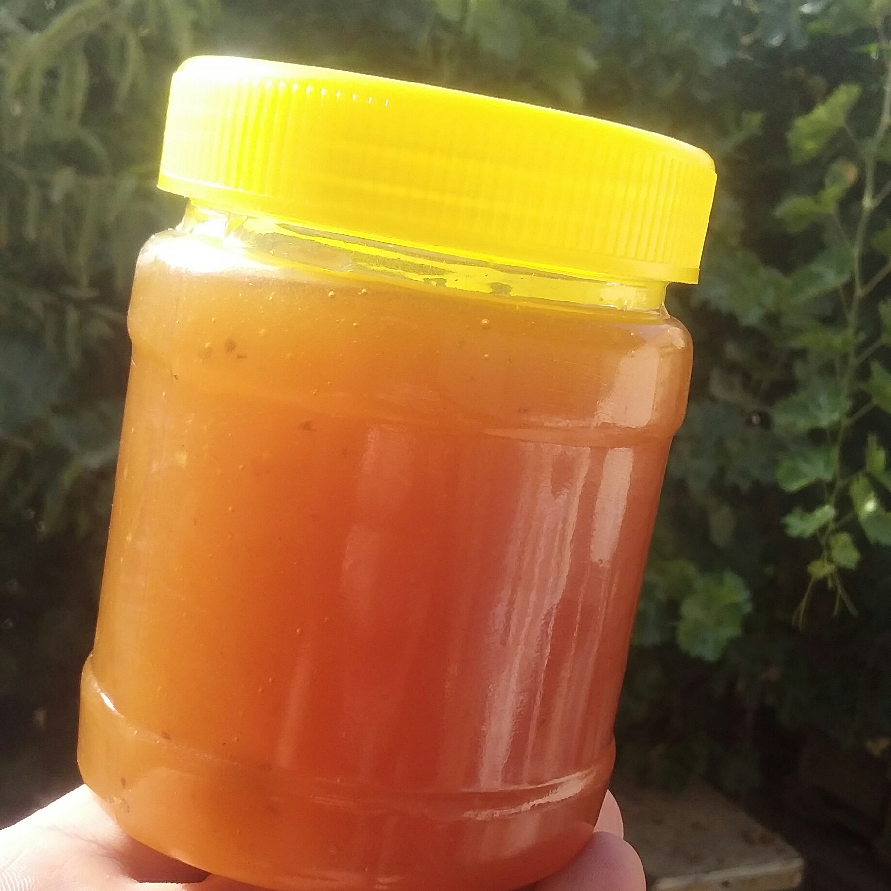 عسل چهل گیاه(صد درصد طبیعی)