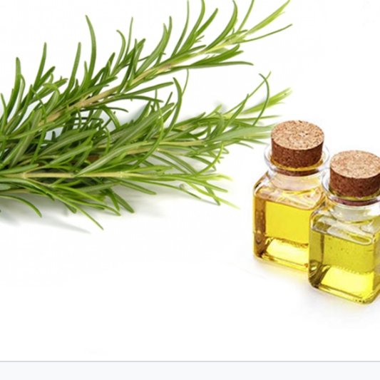 روغن ترخون 60 سی سی مناسب درد عضلانی