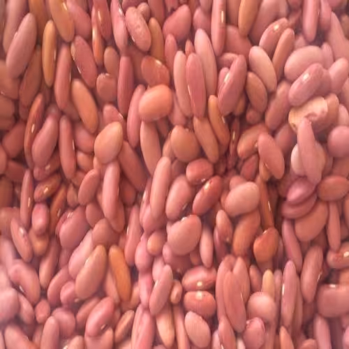 لوبیاکپسولی ایرانی 5کیلویی