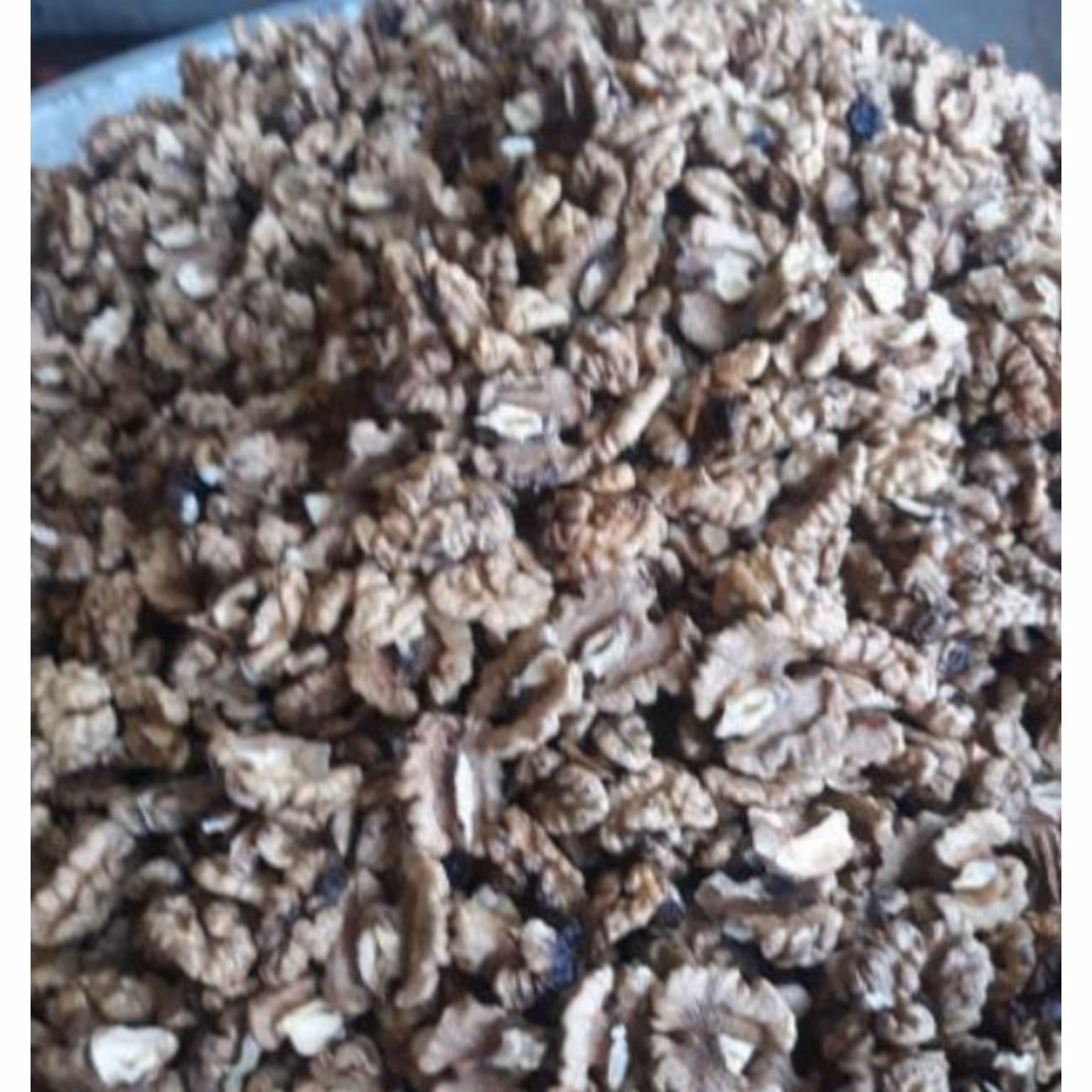 مغز گردو تویسرکان1401