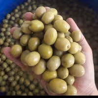 زیتون کنسروی (1کیلو)ویژه درشت