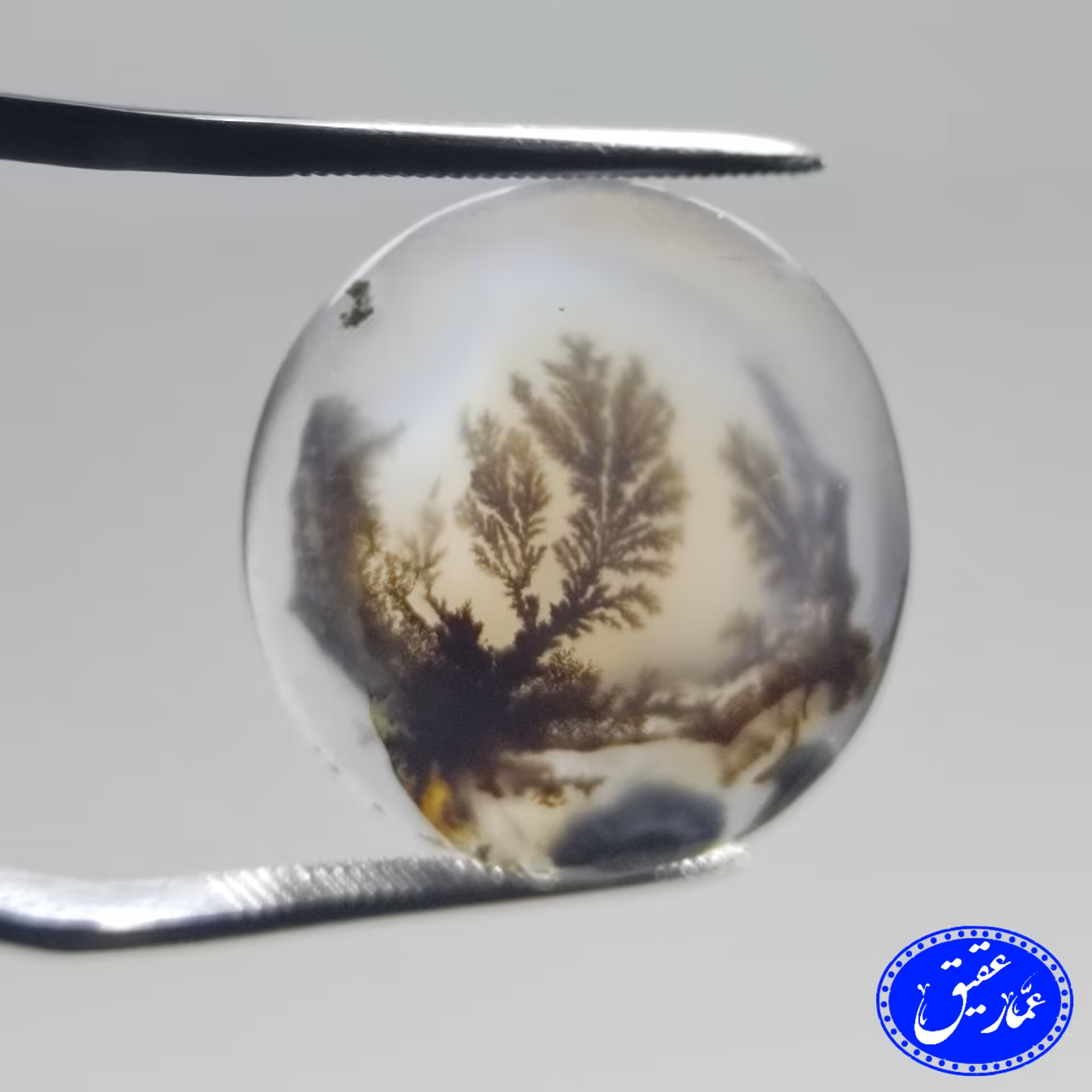   آس ترین کار غرفه از ابتدا تاکنون عقیق شجر سه بعدی