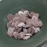 کشک بیرجندی کشک گوسفندی به همراه هدیه 