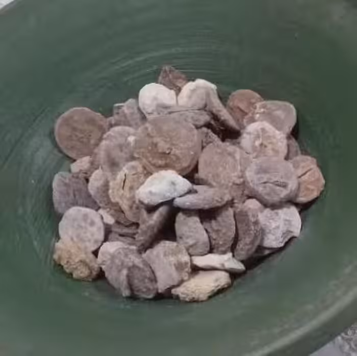 کشک بیرجندی کشک گوسفندی به همراه هدیه 