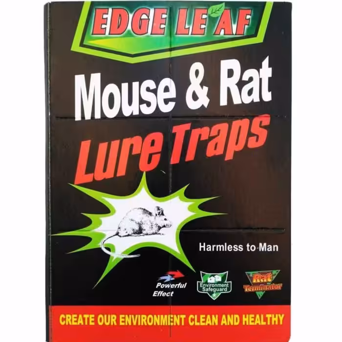 چسب تله موش مدل کتابی 