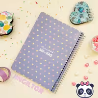 پلنر (دفتر برنامه ریزی) قلبی