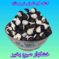 کشک قره قروتی ترش تنقلاتی کارتن ( 11 کیلویی )( هزینه ارسال با مشتری) (پس کرایه)