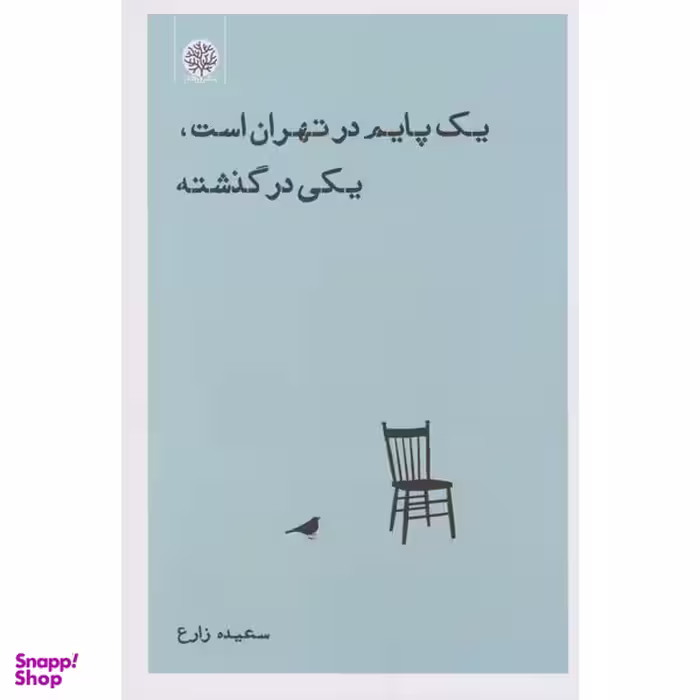 کتاب يک پايم در تهران است يكی در گذشته اثر سعيده زارع انتشارات ايجاز