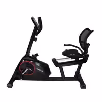 دوچرخه ثابت پشتی دار لیدر اسپرت Leader sport 601R