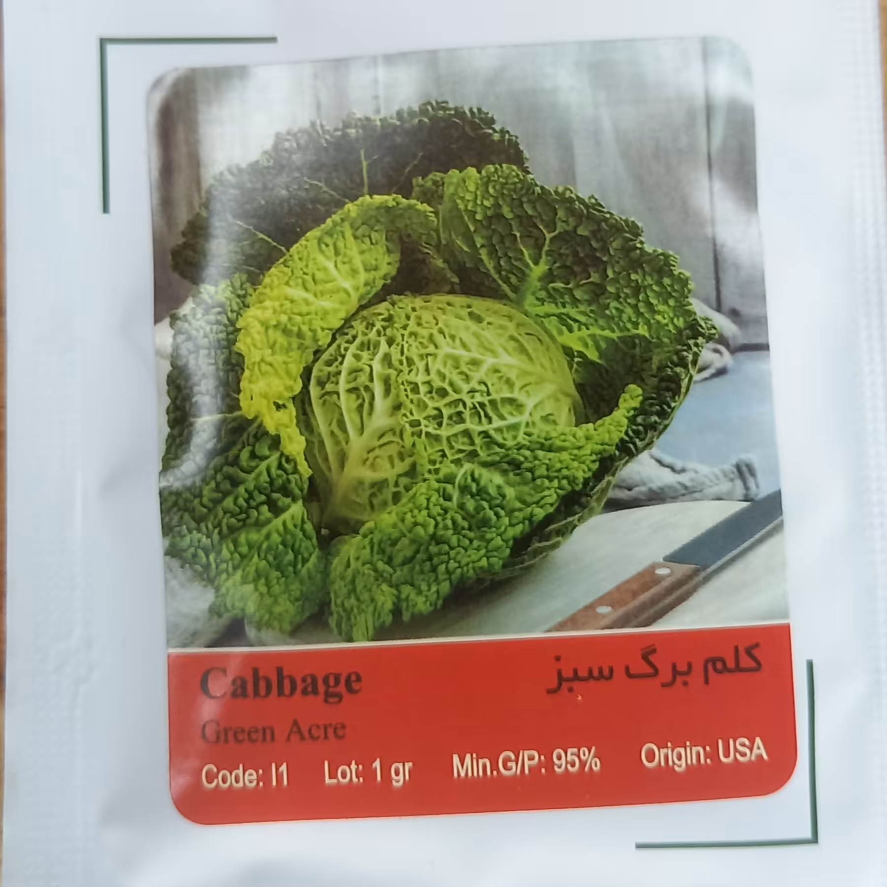 بذر کلم برگ سبز