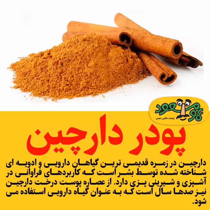 پودر دارچین درجه یک عمومسعود 100 گرمی