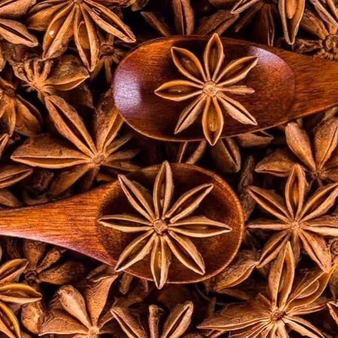 بادیان خطایی (ستاره)