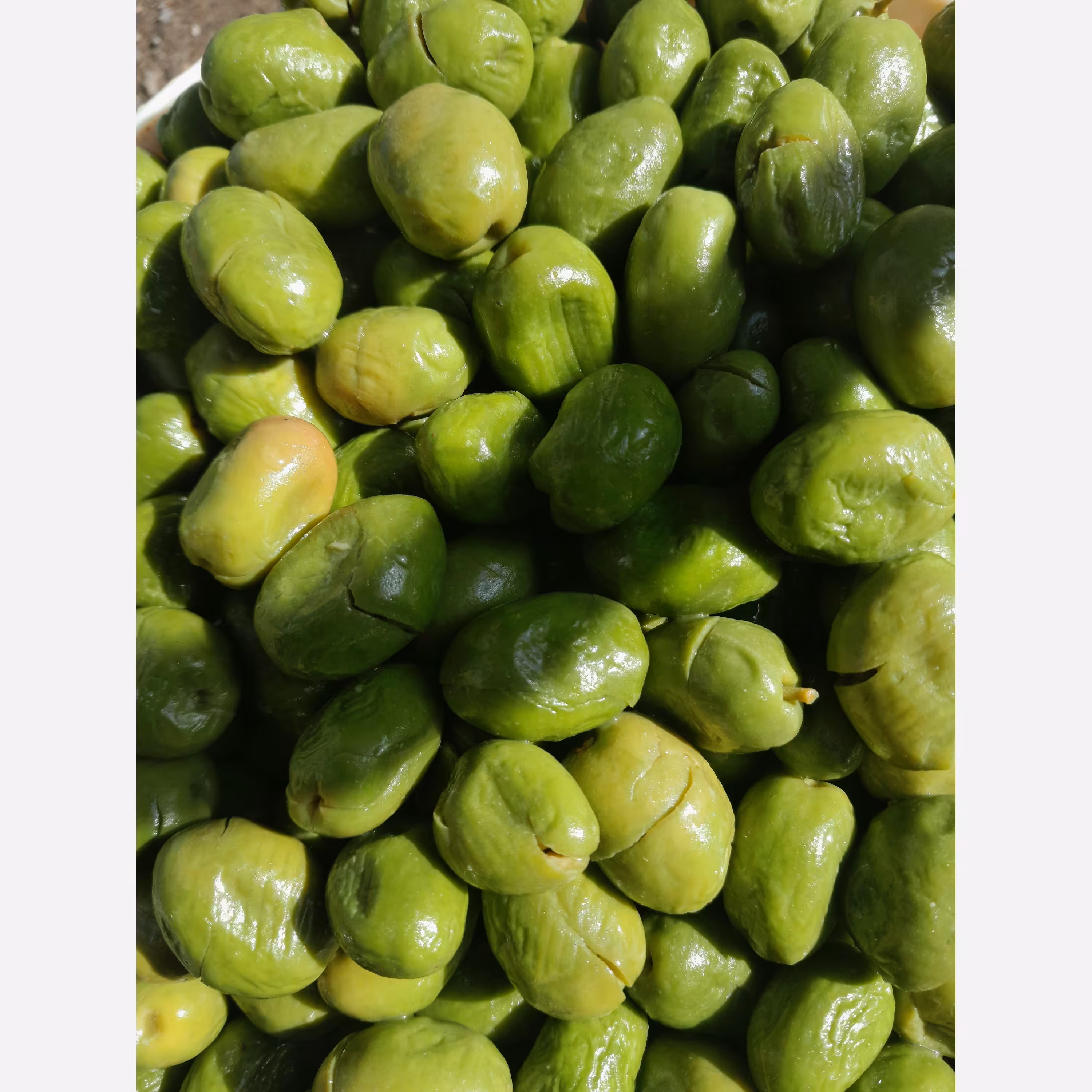 زیتون شکسته تلخ و چرب(2کیلویی) سوپر ویژه مخلوط باتضمین قیمت و ضمانت کیفیت مستقیم بدون واسطه از باغدارخرید کنیدزیتون سنتی