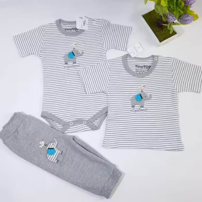 سرویس باز فیل تینی (تکه ای)