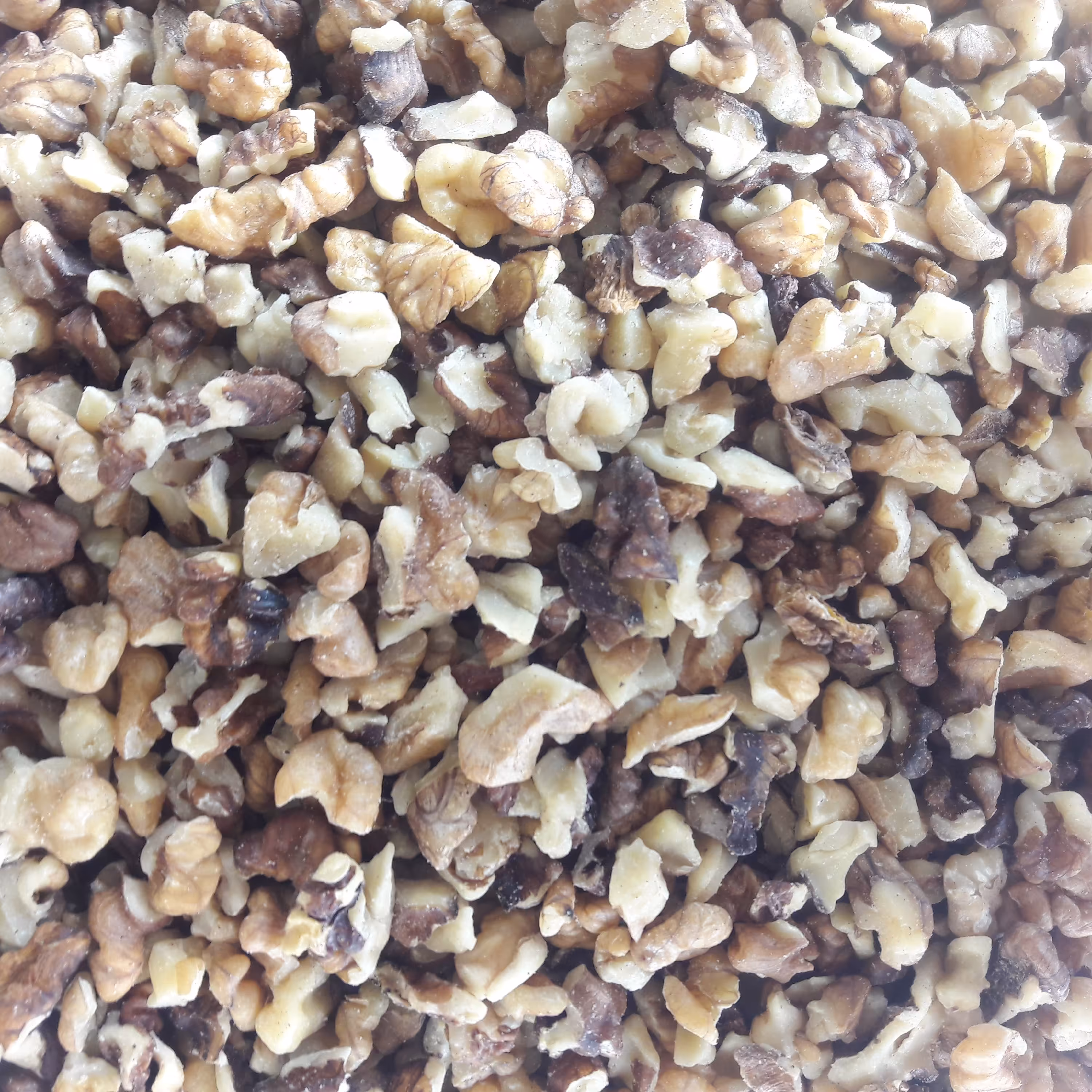 مغز گردوی دندانه ی معمولی با کیفیت فوقلعاده (900 گرمی)تازه، محصول سال  1401