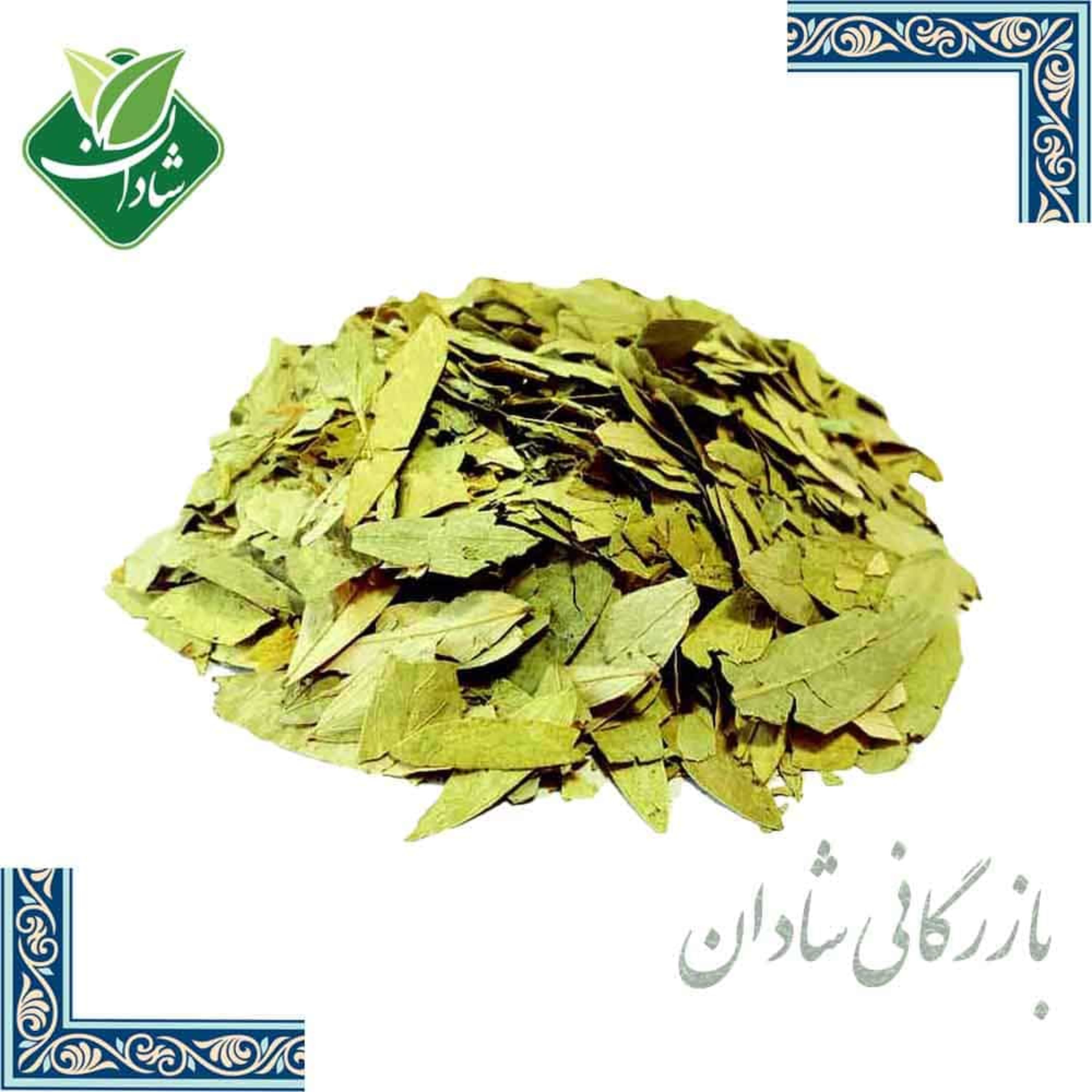 برگ سنا اعلاء 100 گرمی