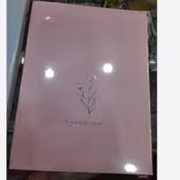 دفتر کلاسوری پاستلی فطرس