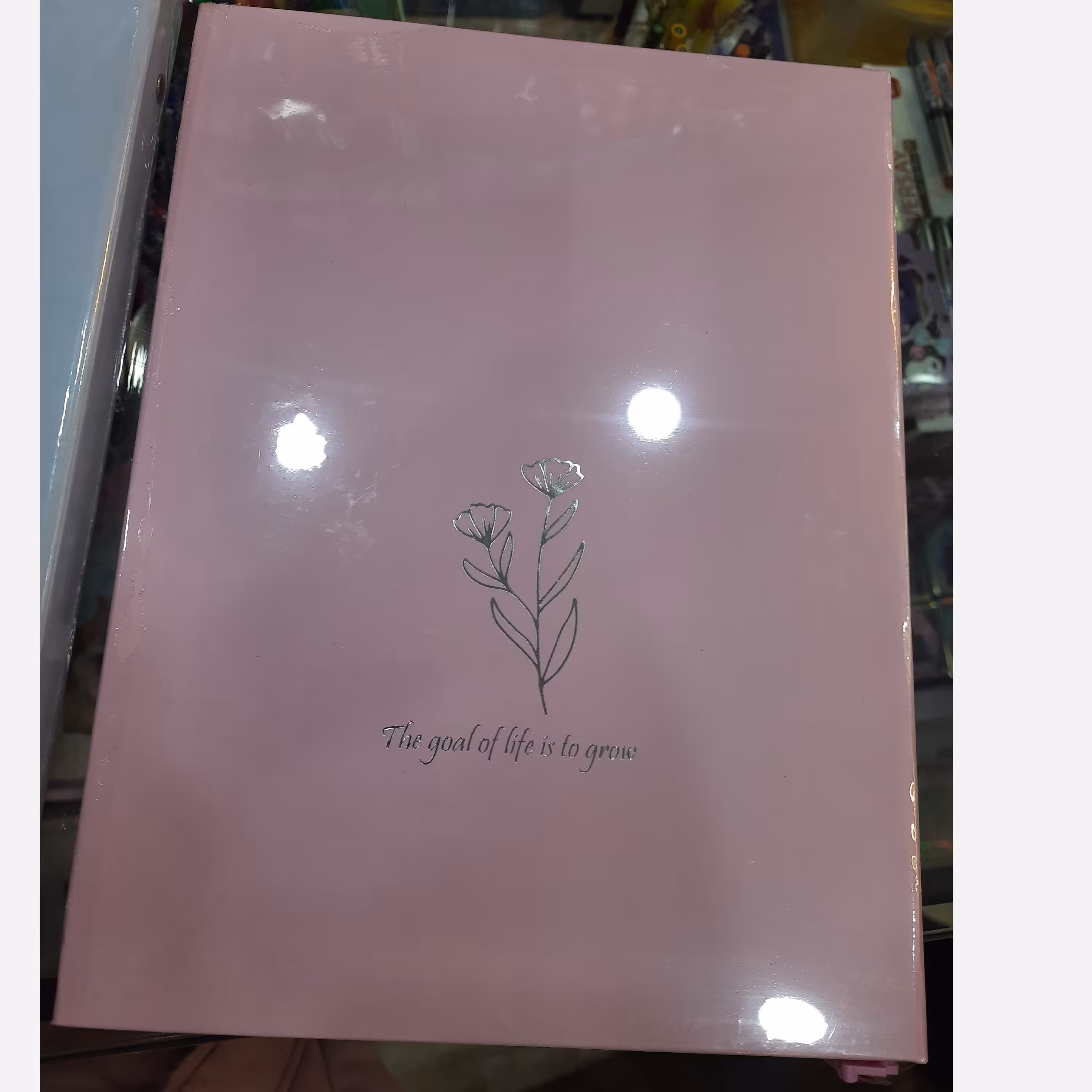 دفتر کلاسوری پاستلی فطرس