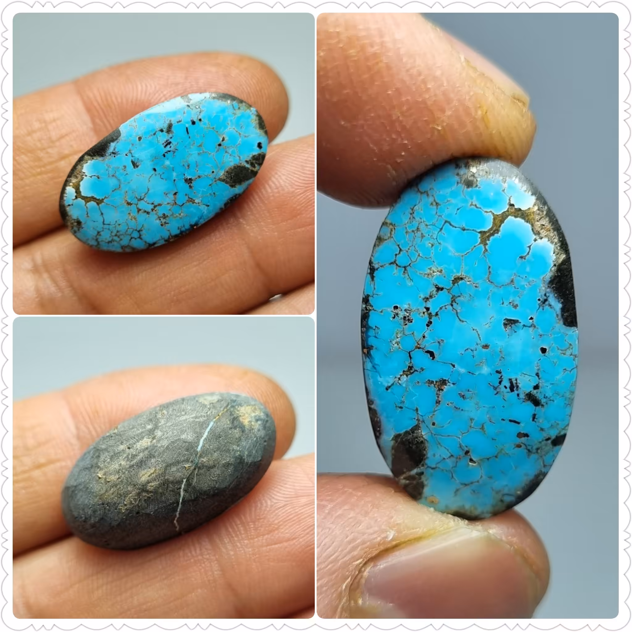 نگین فیروزه شجر اصل نیشابور 