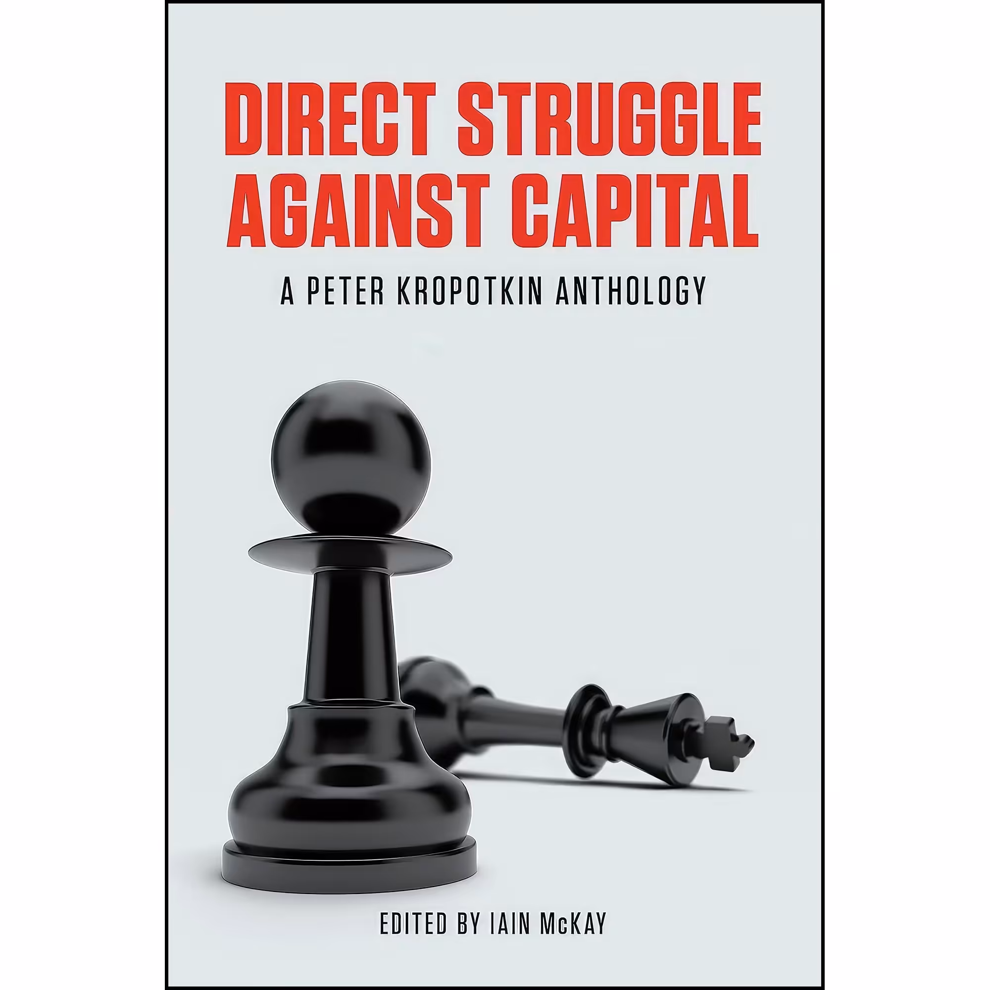 کتاب زبان اصلی Direct Struggle Against Capital انتشارات AK Press