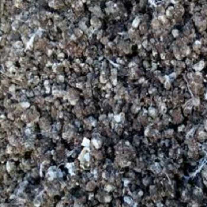 کود کبوتر بومی محلی طبیعی (خریداریم و فروشنده)-عمده و جزئی-کود خاصی که برایش ساختمان برج کبوتر میسازند