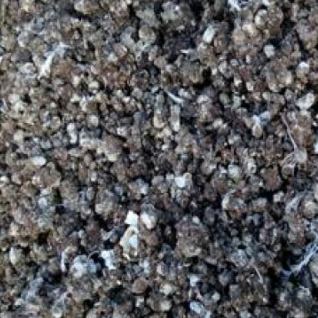 کود کبوتر بومی محلی طبیعی (خریداریم و فروشنده)-عمده و جزئی-کود خاصی که برایش ساختمان برج کبوتر میسازند