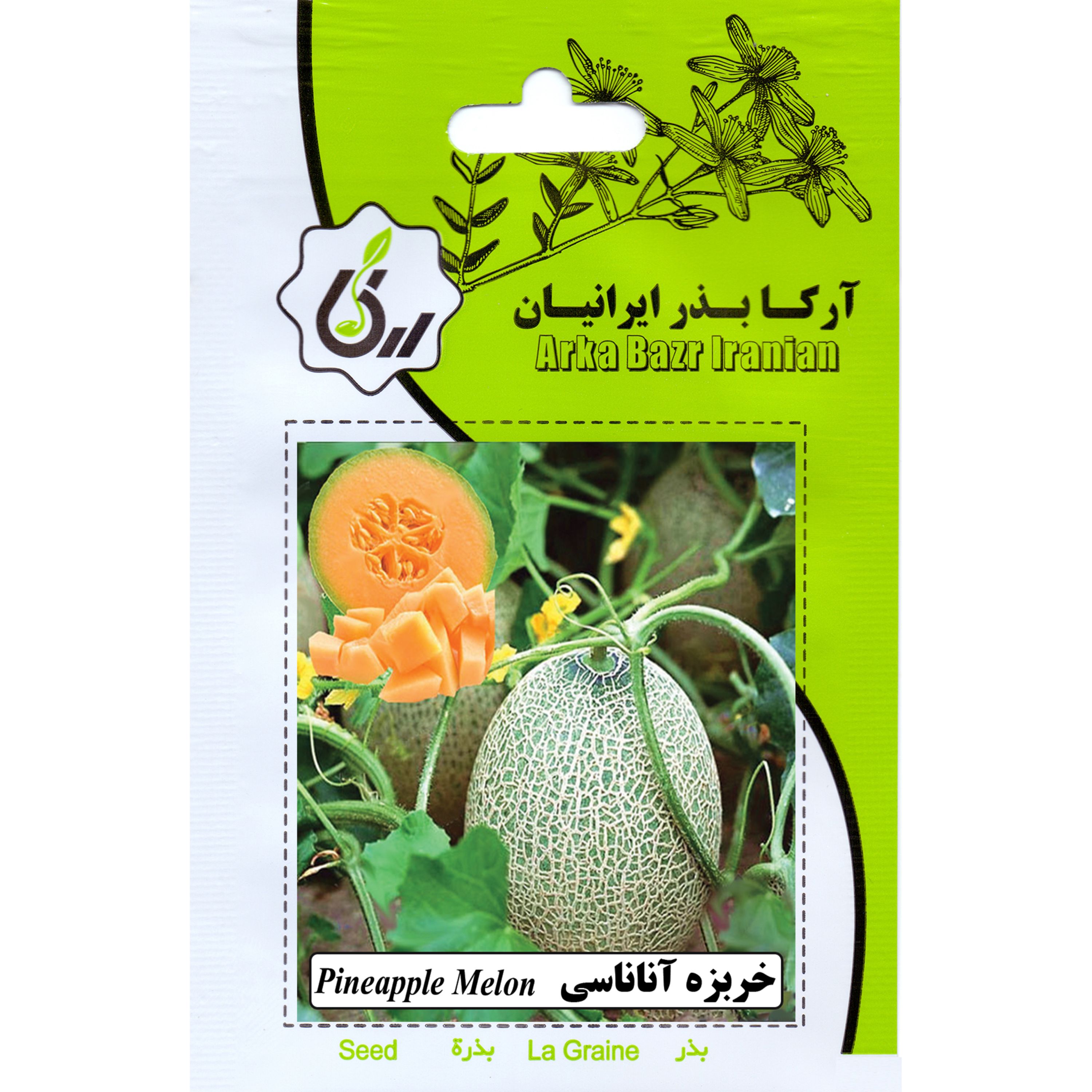 خربزه اناناسی ارکا بذر ایرانیان