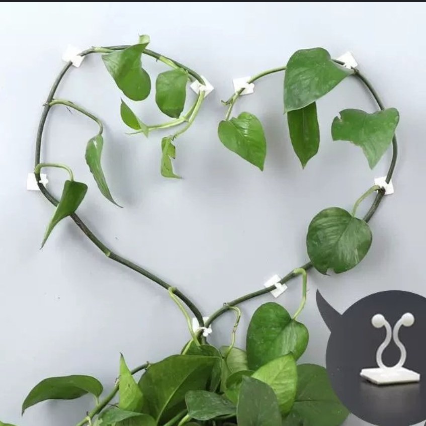گیره پتوس دورنگ سبز و سفید بسته ده عددی