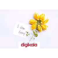 کارت هدیه الکترونیکی دیجی کالا طرح عذرخواهی