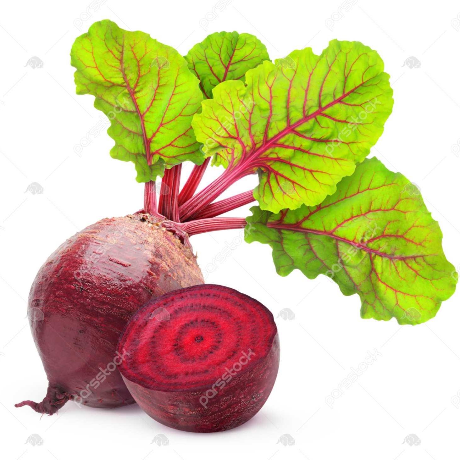 بذر چغندر لبویی