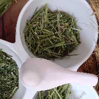 یونجه خشک ساقه کوتاه تازه 1 کیلویی