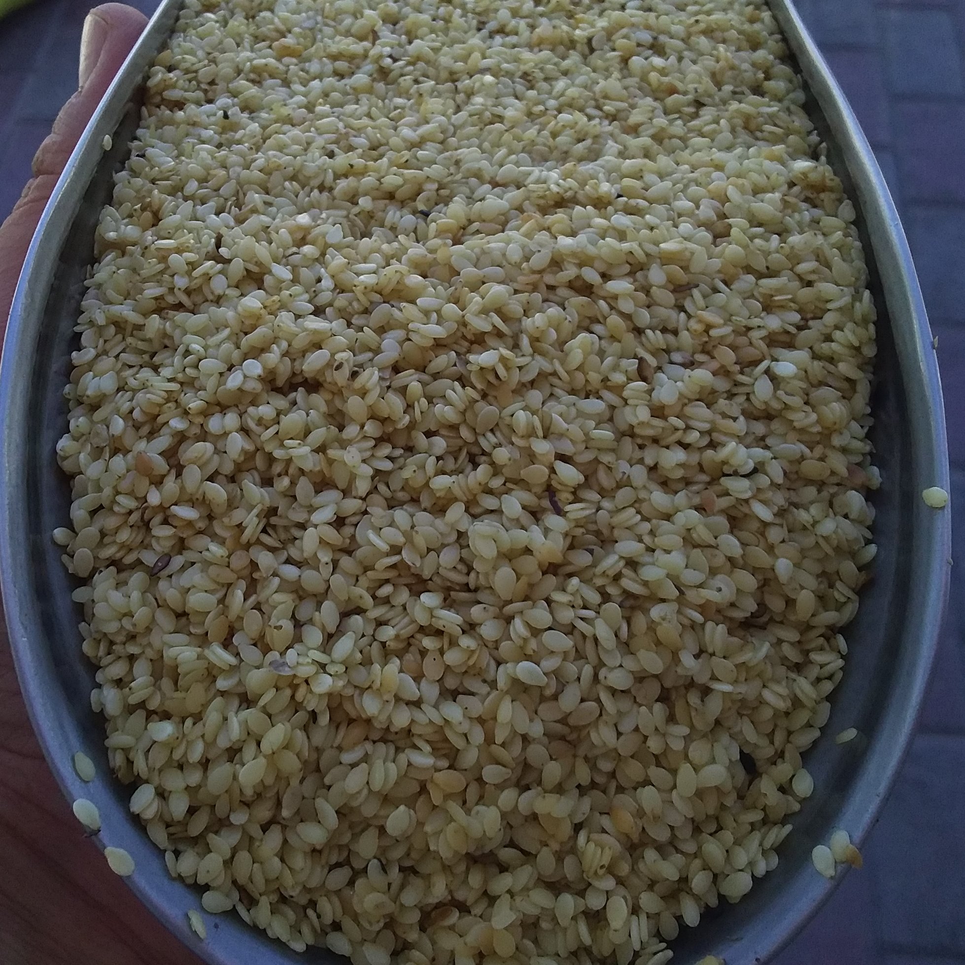 کنجد سفید ایرانی چرب یک کیلو