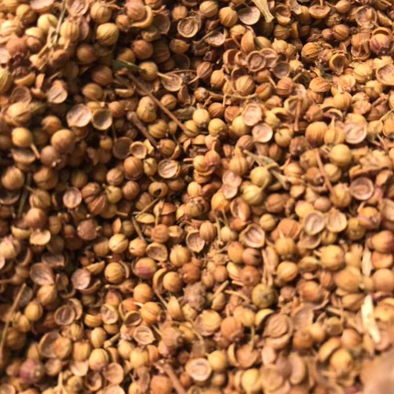 دانه گشنیز بسیار عالی و معطر خراسانی (500 گرم)