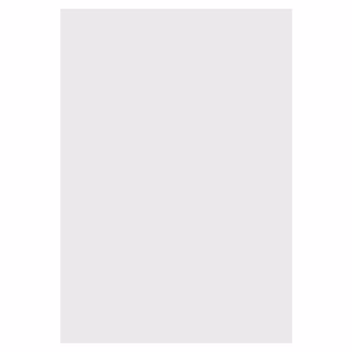 خرید کاغذ مخصوص فیلیپ چارت سایز 60 × 90 بسته 500 عددی