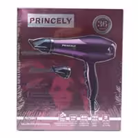 سشوار حرفه ای پرنسلی مدل PR258AT