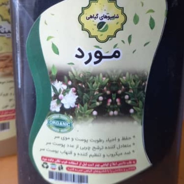 شامپو مورد گیاهی