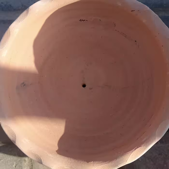 جاسبزه عید جا سبزه