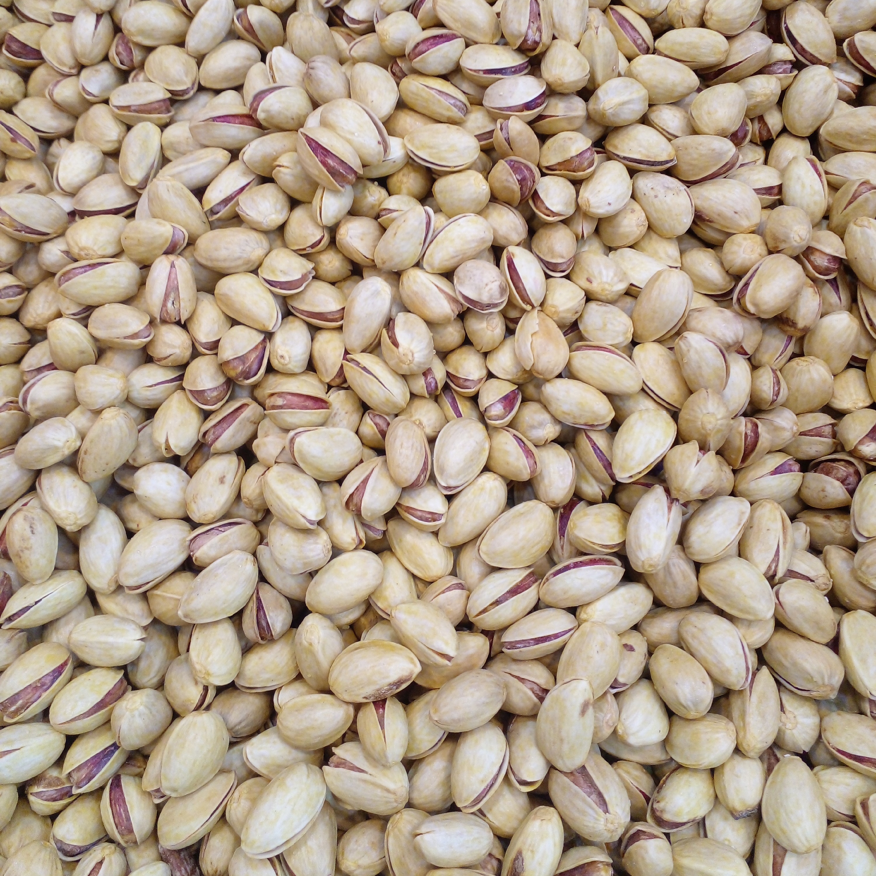 پسته احمدآقایی بوداده درجه یک پرمغز تازه کیفیت خیلی عالی ودرجه یک 