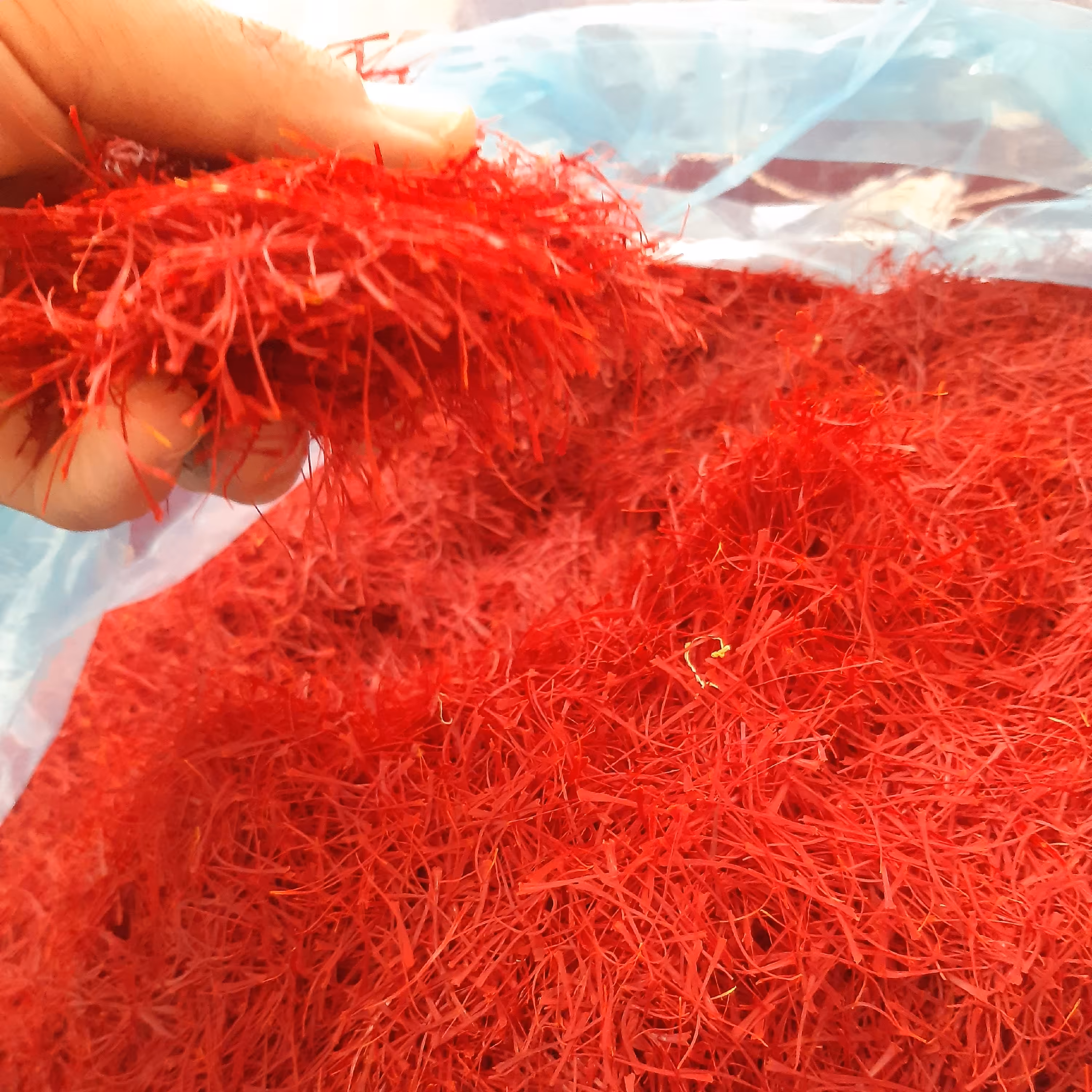 زعفران طبیعی خراسان ( 1 مثقالی ) تازه و برداشت امسال در اندازه و مقدار متفاوت 1 گرم تا چند کیلوگرم