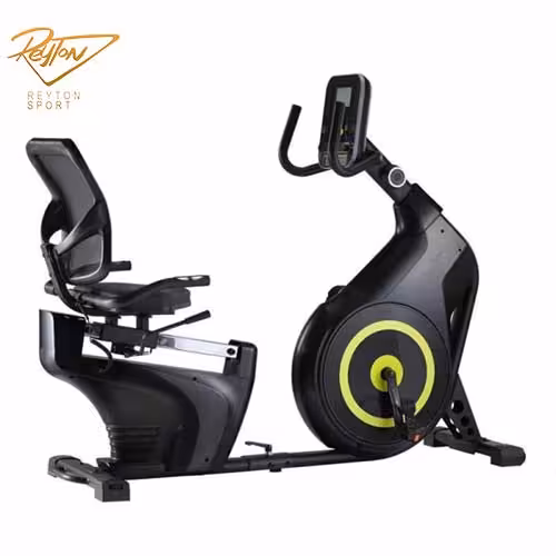 دوچرخه ثابت پشتی دار لیدر اسپرت Leadersport 801R