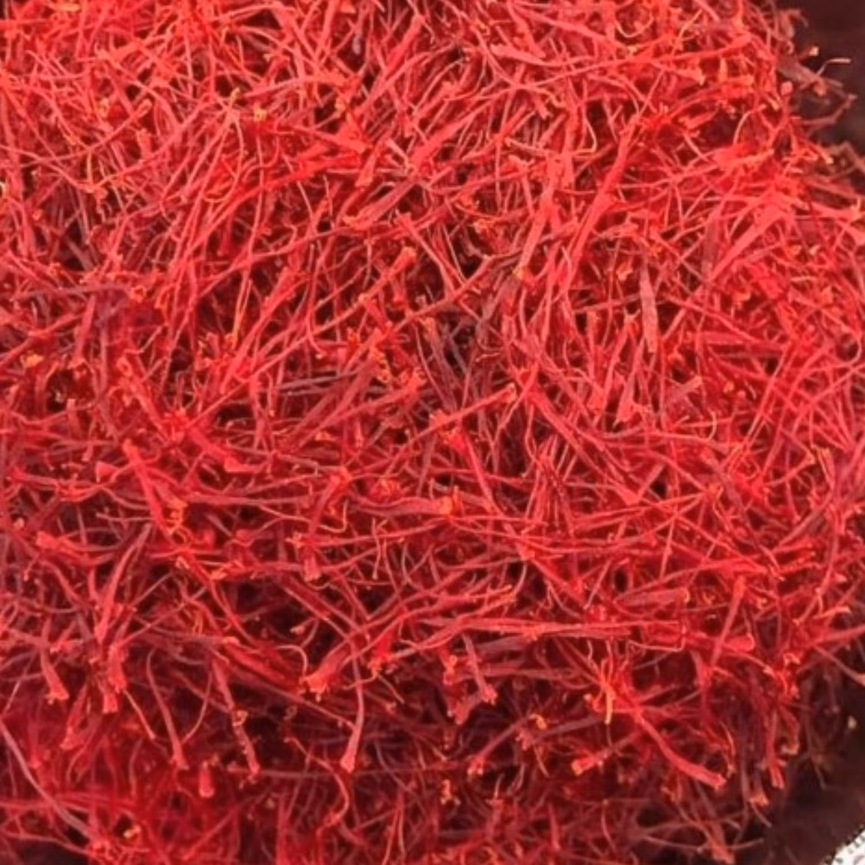 زعفران یک مثقالی درجه یک قائنات