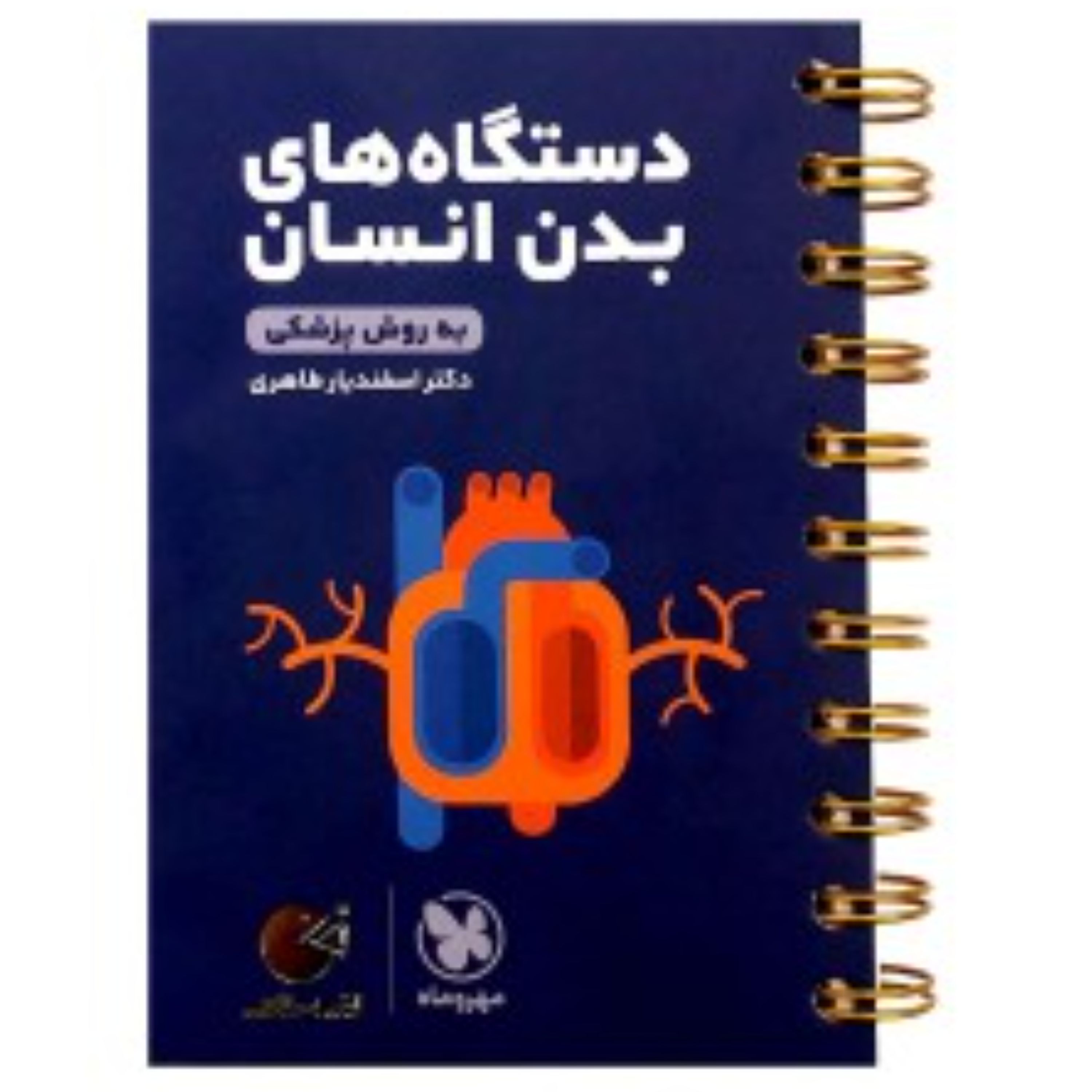 لقمه طلایی دستگاه های بدن انسان انتشارات مهروماه