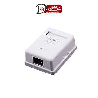 سرفیس باکس روکار رپیتون – Surface Box - دنیای شبکه برتر