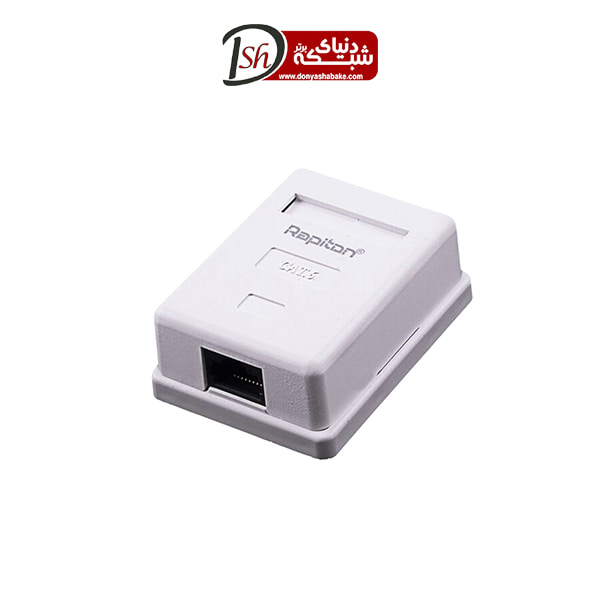 سرفیس باکس روکار رپیتون – Surface Box - دنیای شبکه برتر