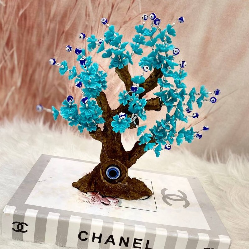 چشم زخم درختچه چشم نظر 