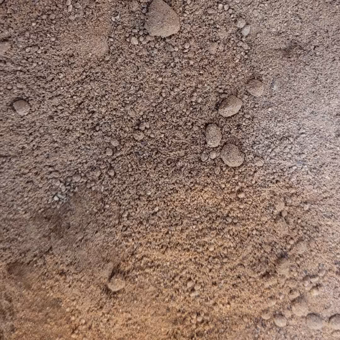 فوفل سابیده