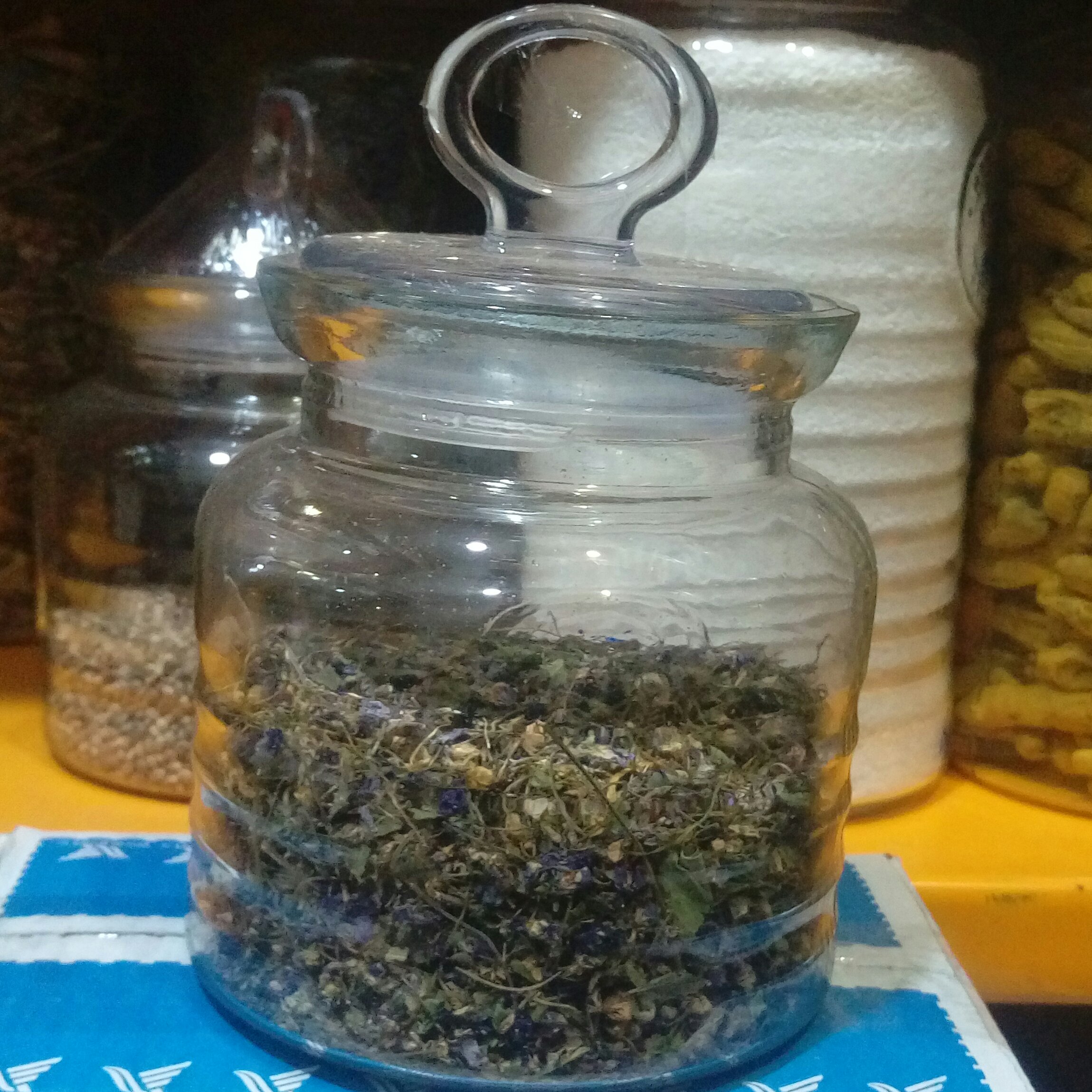 گیاه و گل بنفشه 50 گرمی
